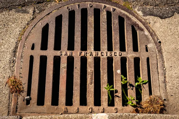 Drain Cleaning Services in Bowlus, MN
