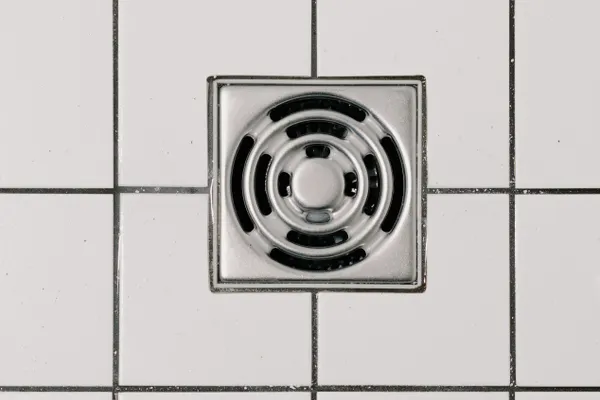 Drain Repair Services in Bowlus, MN