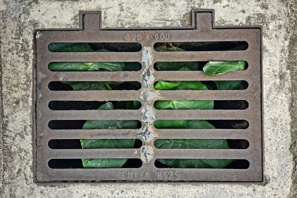 Main Drain Cleaning in Bowlus, MN