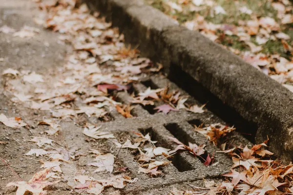Drain Pipe Repair in Bowlus, MN